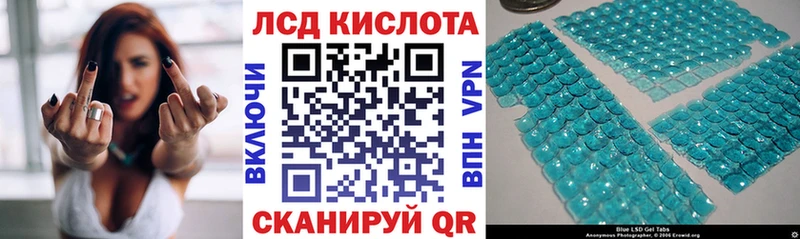 ссылка на мегу зеркало  Шилка  Марки N-bome 1500мкг  купить наркотики сайты 