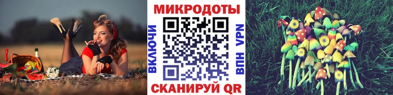 Псилоцибиновые грибы мухоморы Шилка